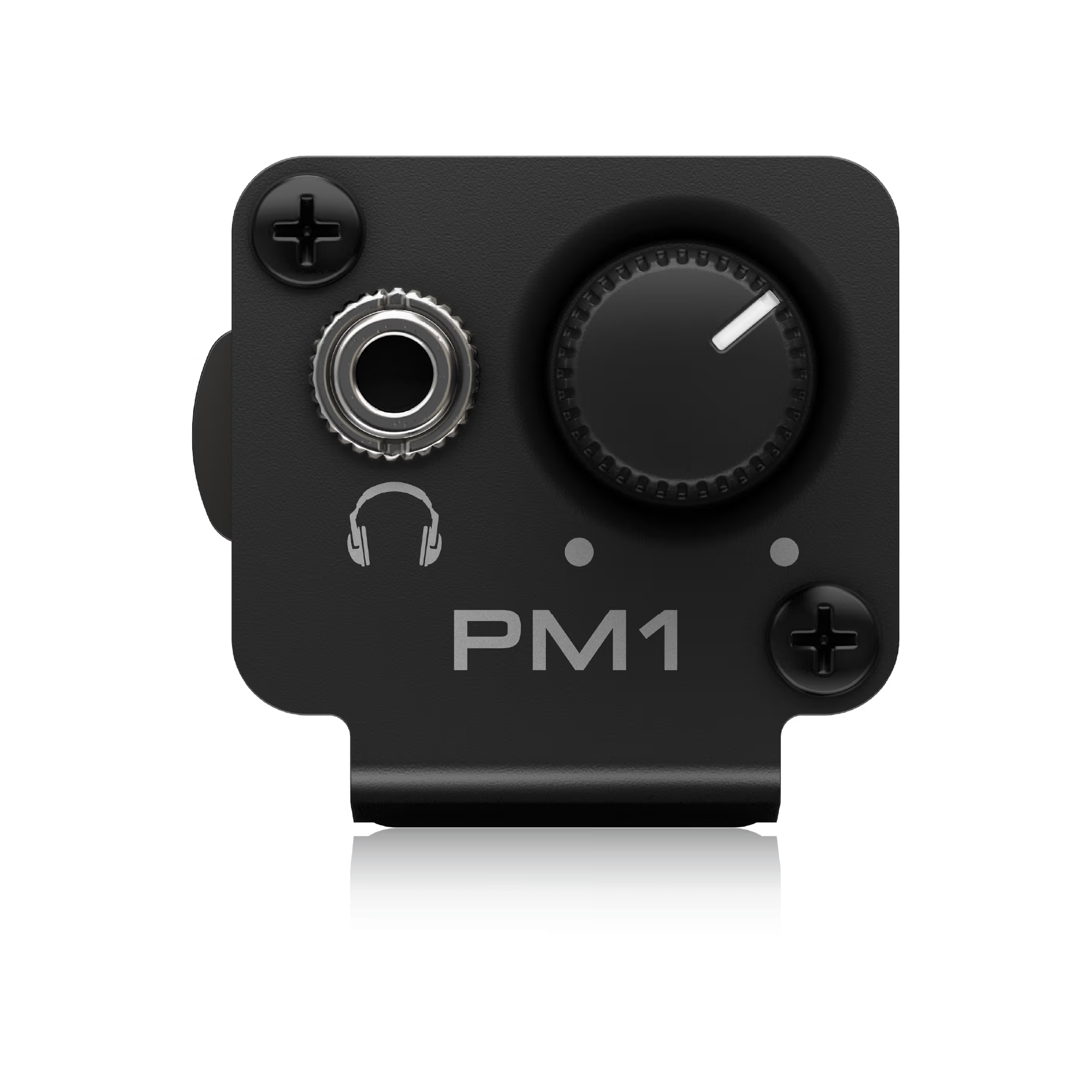 PM1