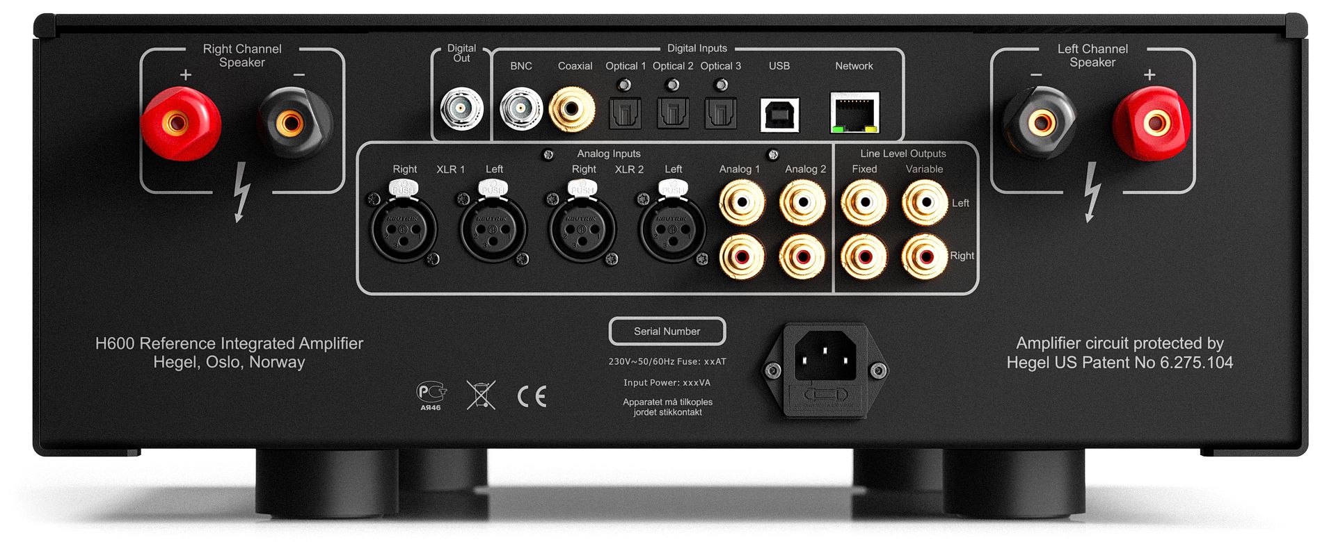 HEGEL H600 リアパネル