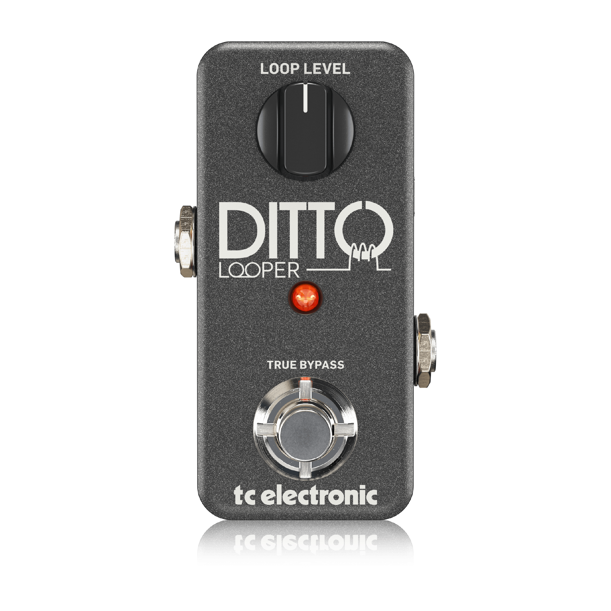 DITTO LOOPER